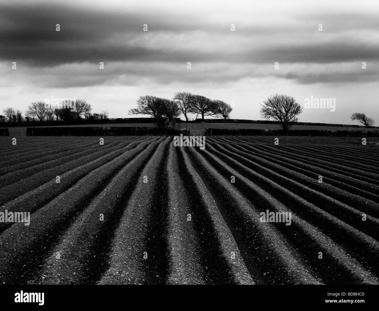 Ein Acker in Pembrokeshire, West Wales, UK Stockfoto