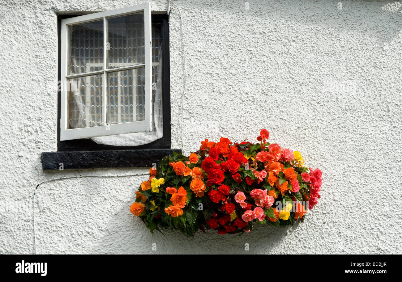 Hängenden Körben von Blumen Stockfoto