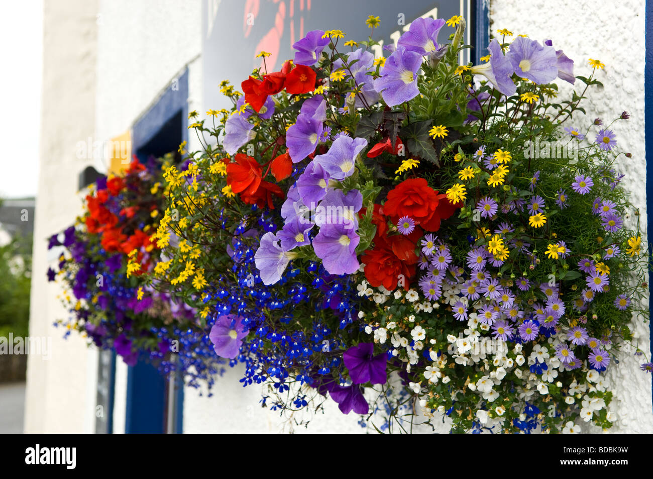 Hängenden Körben von Blumen Stockfoto
