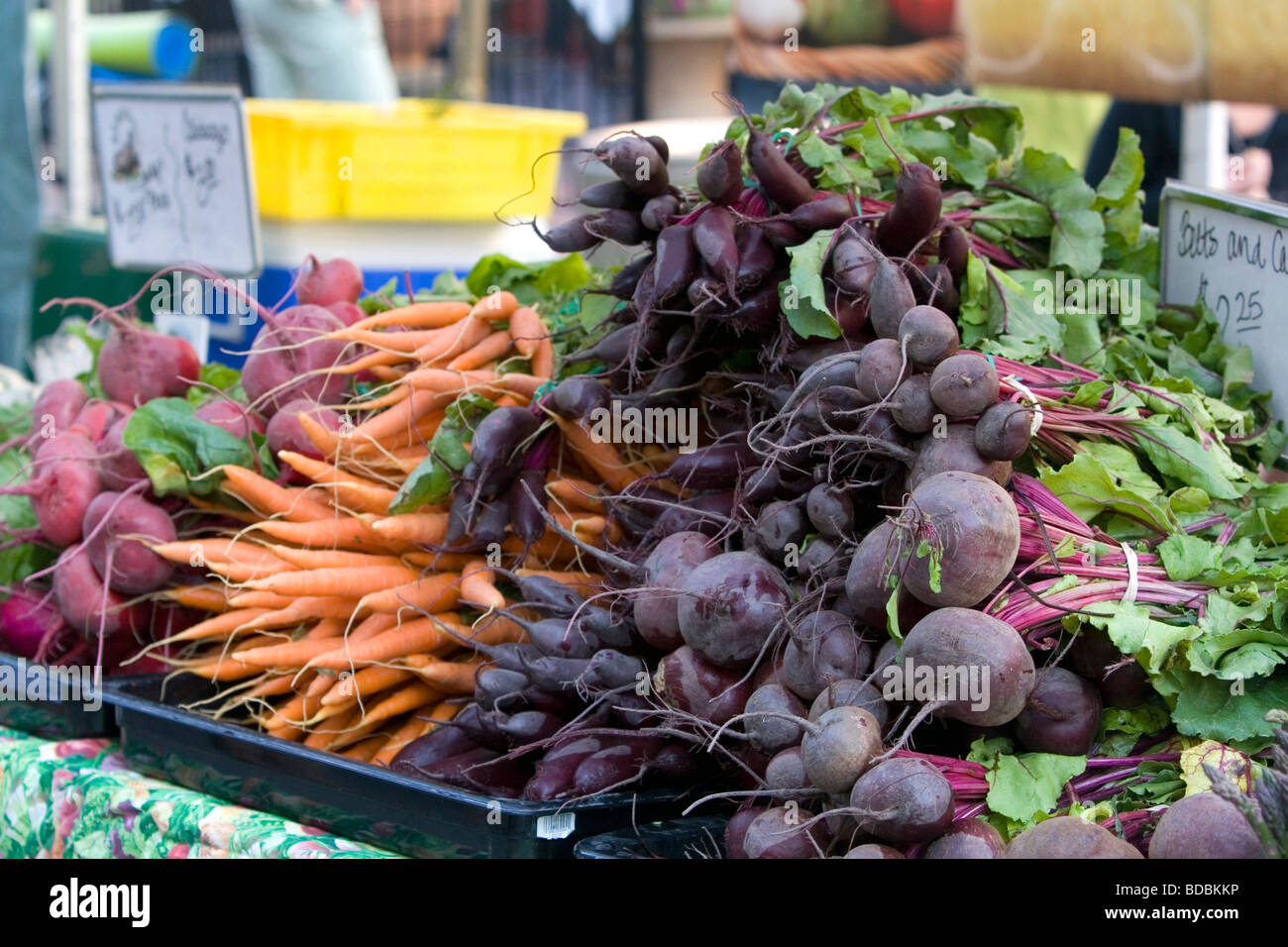 Frisches Obst und Gemüse auf einem Bauernmarkt in Boise, Idaho USA verkauft Stockfoto