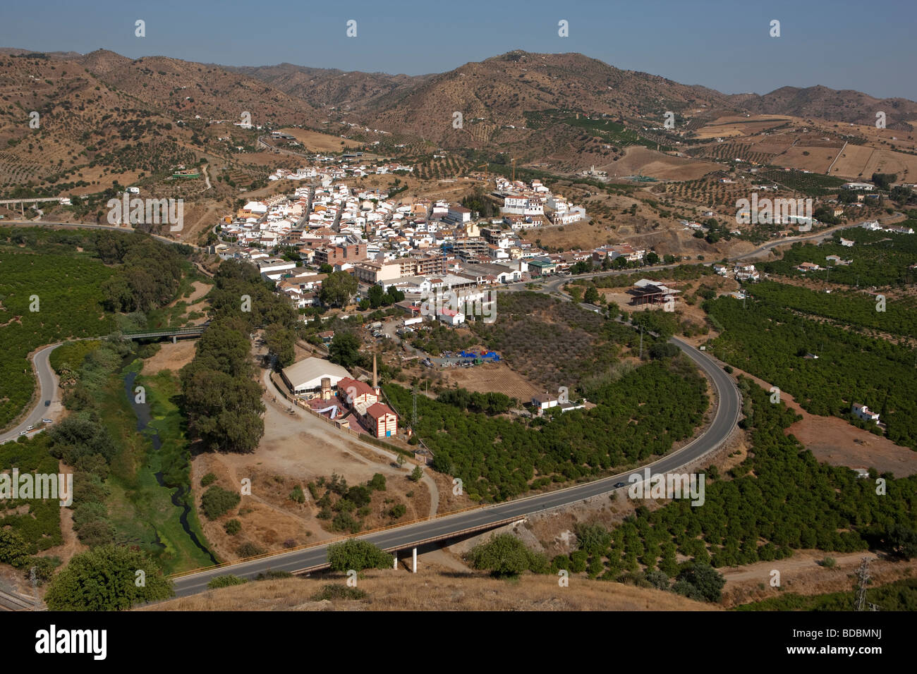 Felder von Olivenbäumen.  Alora. Malaga. Costa del Sol Andalusien. Spanien. Europa Stockfoto
