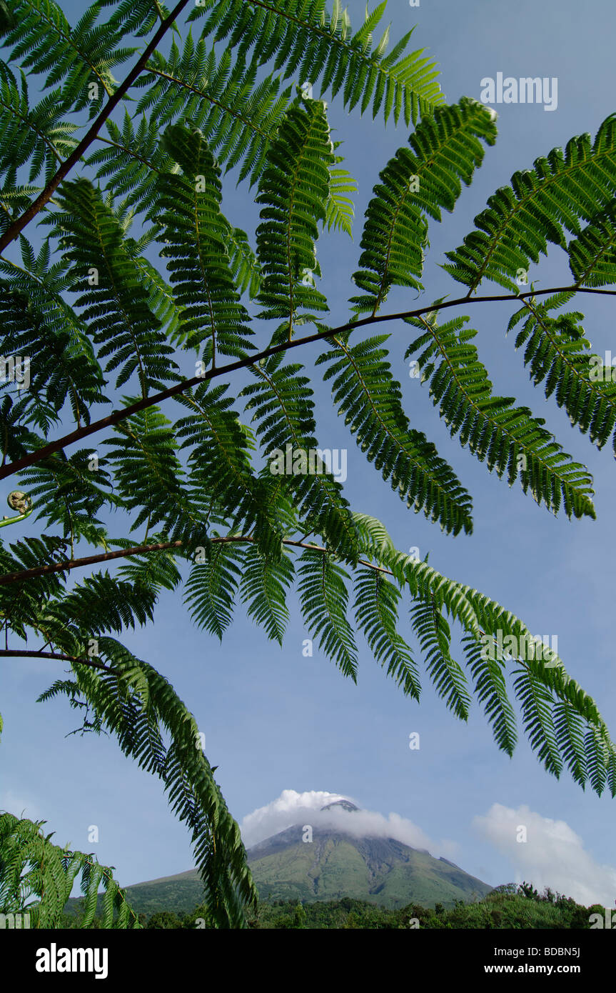 Mount Mayon Vulkan, Albay, Bicol, Südosten Luzon, Philippinen Stockfoto