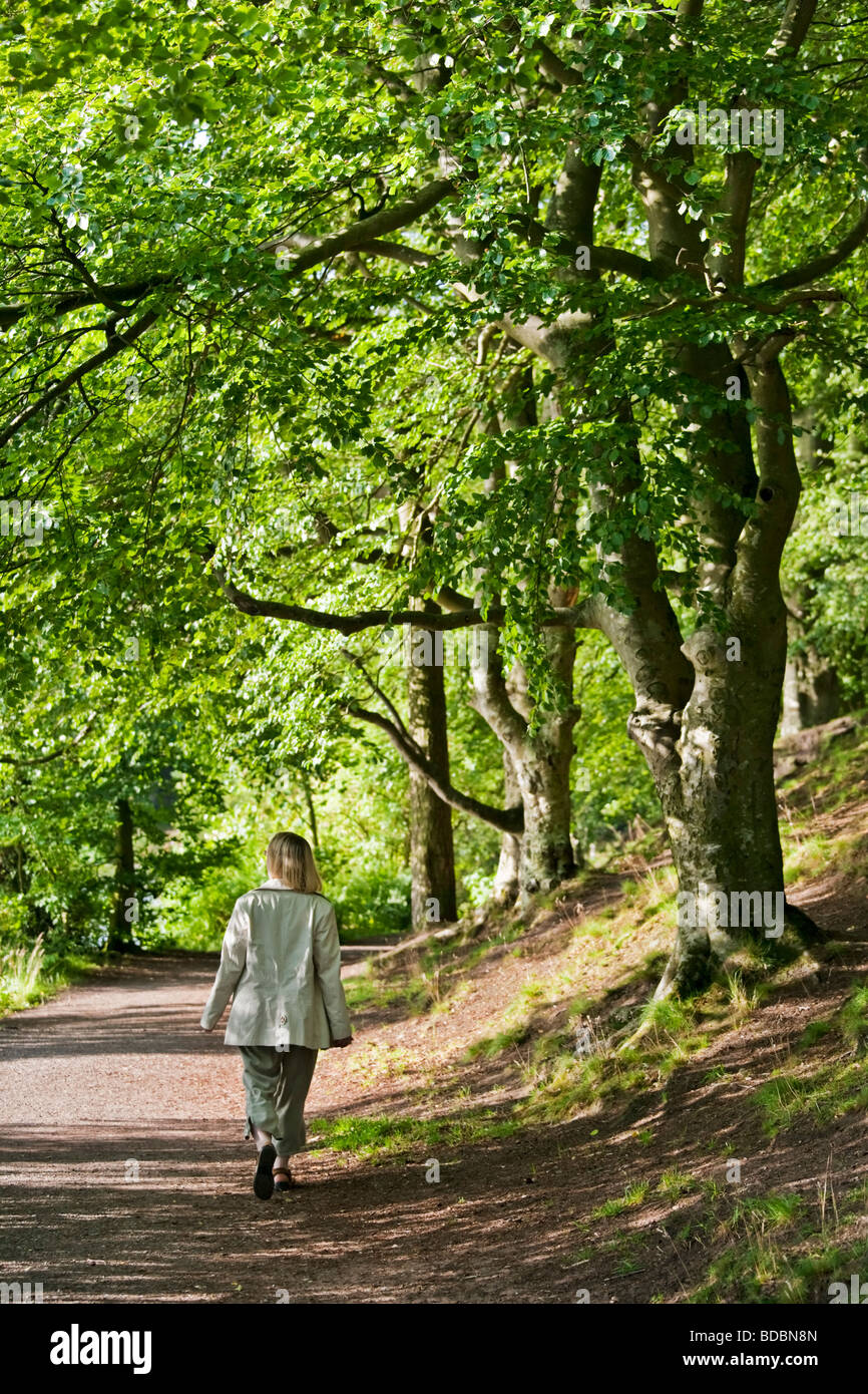Junge Frau zu Fuß entlang der Uferweg rund um Talkin Tarn in der Nähe von Brampton in Cumbria, England Stockfoto