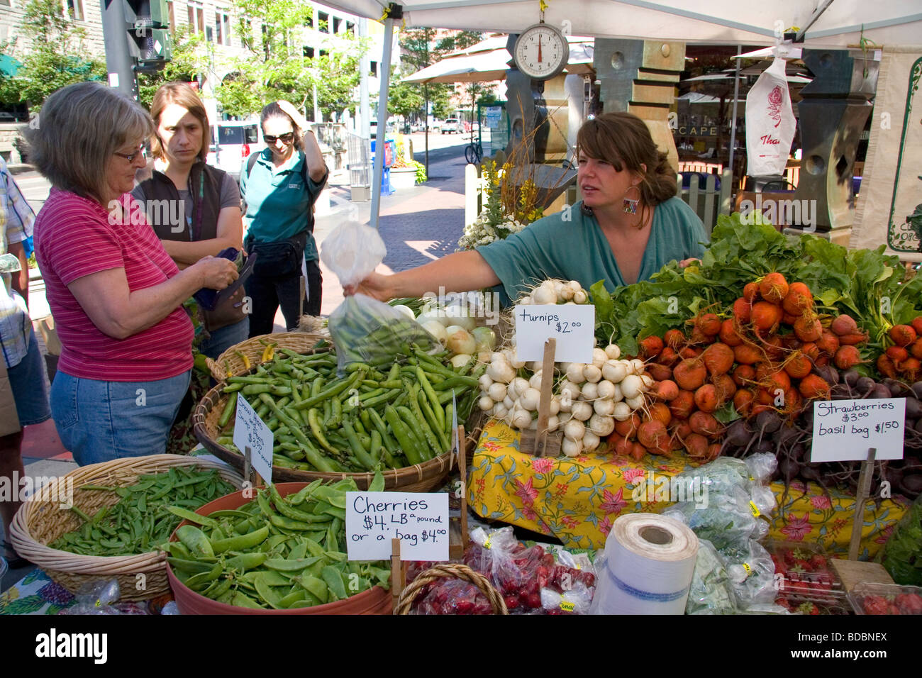 Kunden kaufen frisches Gemüse vom Bauernmarkt in Boise, Idaho USA Stockfoto