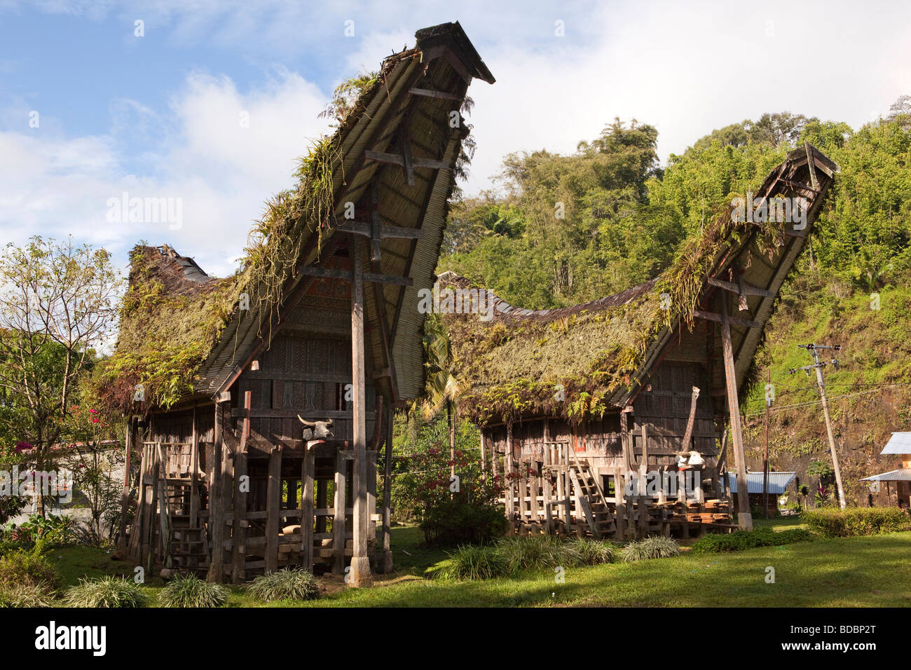 Indonesien Sulawesi Tana Toraja Lemo traditionelle Tongkonan Häuser mit alten verwilderten Strohdach Stockfoto