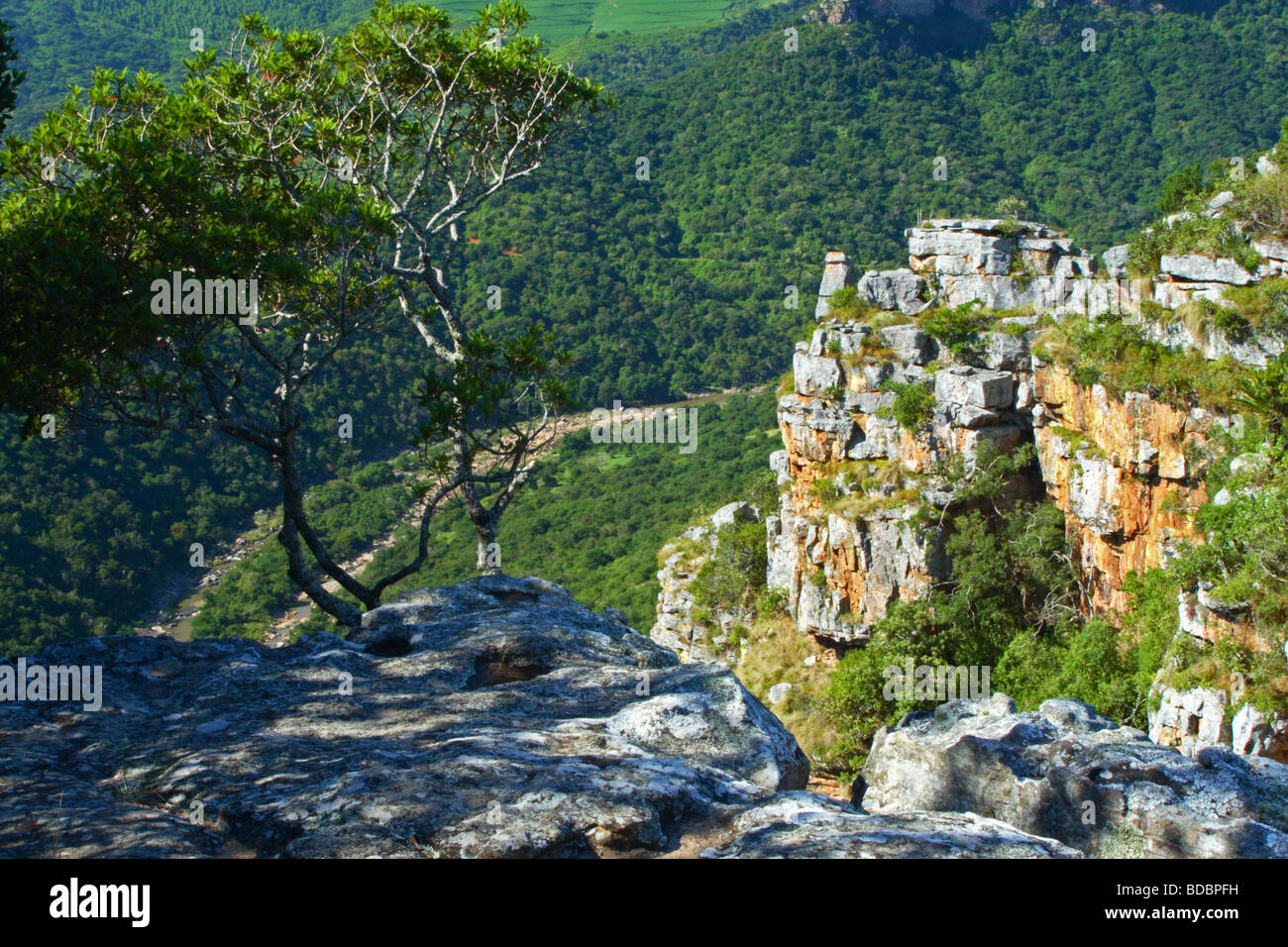 Blick auf den Umzimkulwana-Fluss in die Oribi Gorge Nature Reserve, Kwazulu Natal, Südafrika Stockfoto