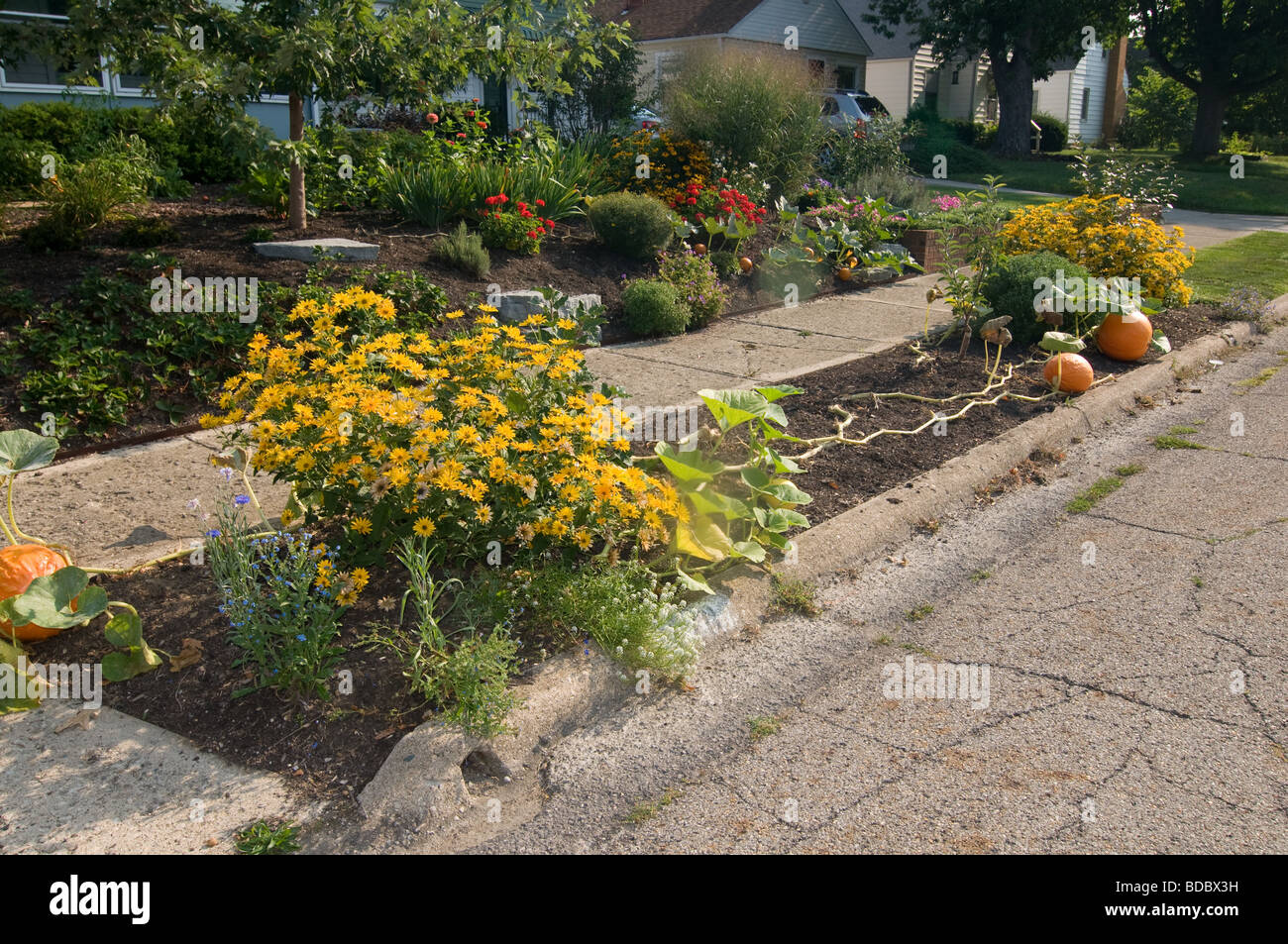 Vorgarten Stockfotos und -bilder Kaufen - Alamy