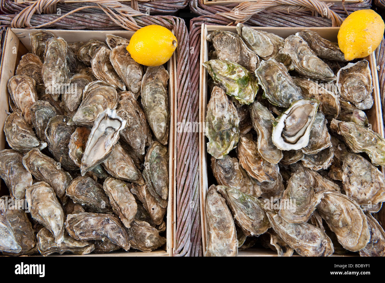 Frischen Fisch und Meeresfrüchte für den Verkauf in den Fischmarkt in Trouville, Normandie Frankreich Stockfoto