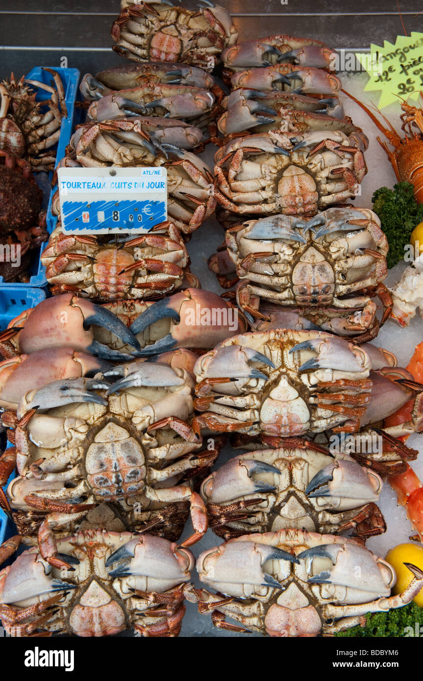 Frischen Fisch und Meeresfrüchte für den Verkauf in den Fischmarkt in Trouville, Normandie, Frankreich Stockfoto