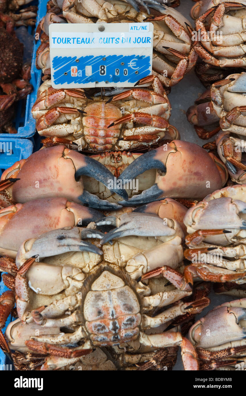 Frischen Fisch und Meeresfrüchte für den Verkauf in den Fischmarkt in Trouville, Normandie, Frankreich Stockfoto