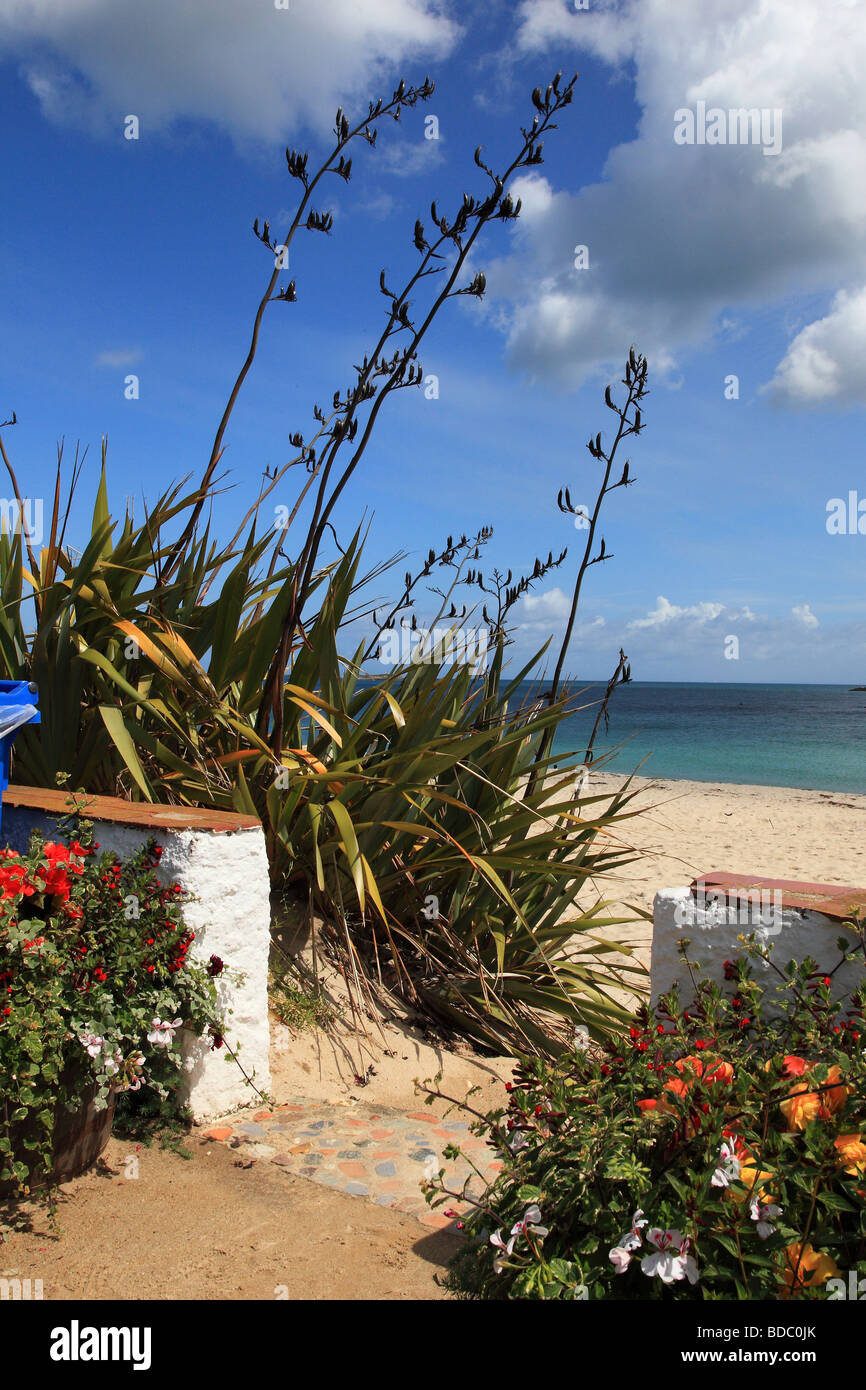 Eingang zum Café auf der Shell Beach Herm Island, Kanalinseln Stockfoto