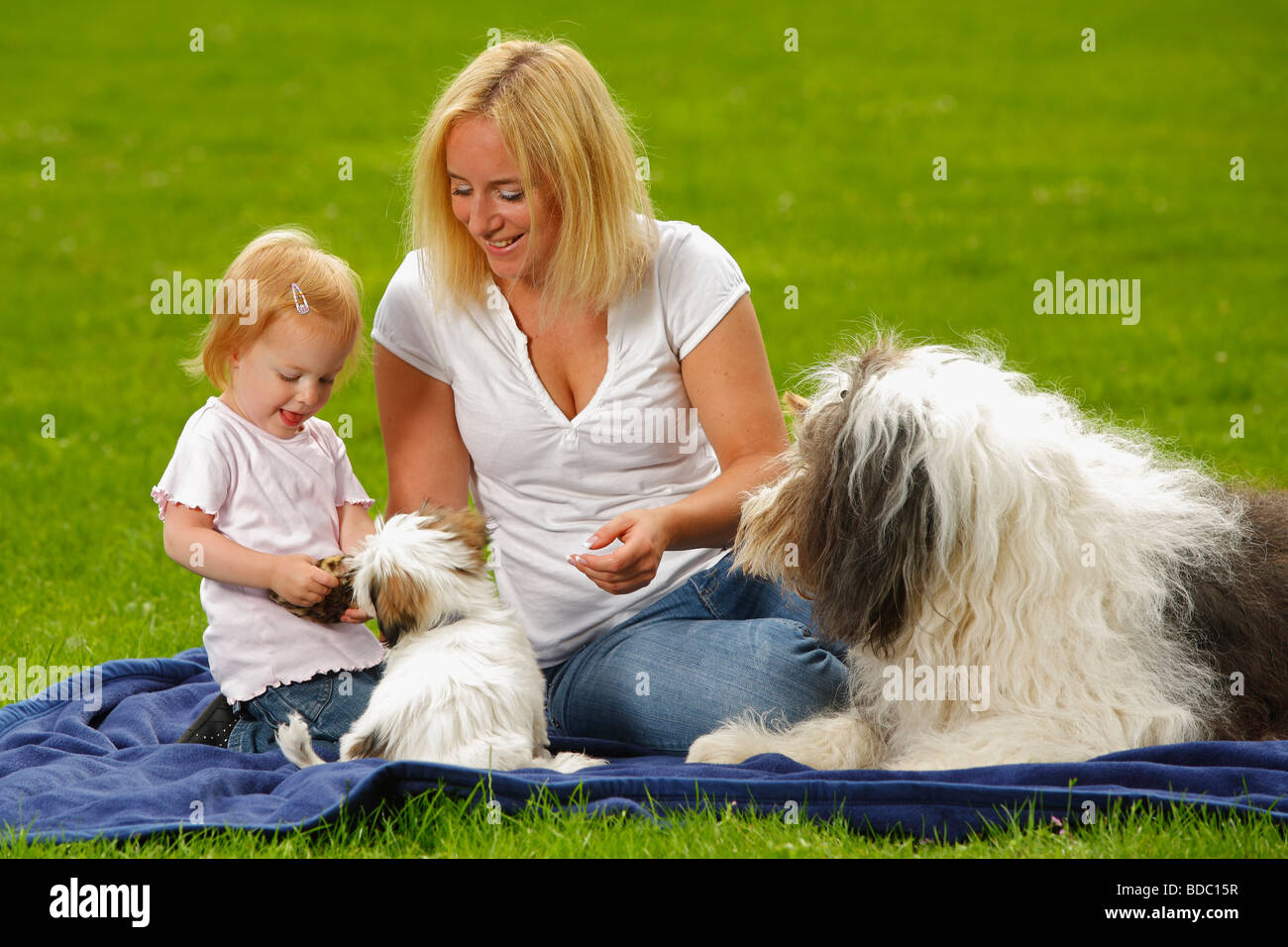 Frau mit Tochter Bobtail und Mixed Breed Dog Welpen Old English Sheepdog Stockfoto