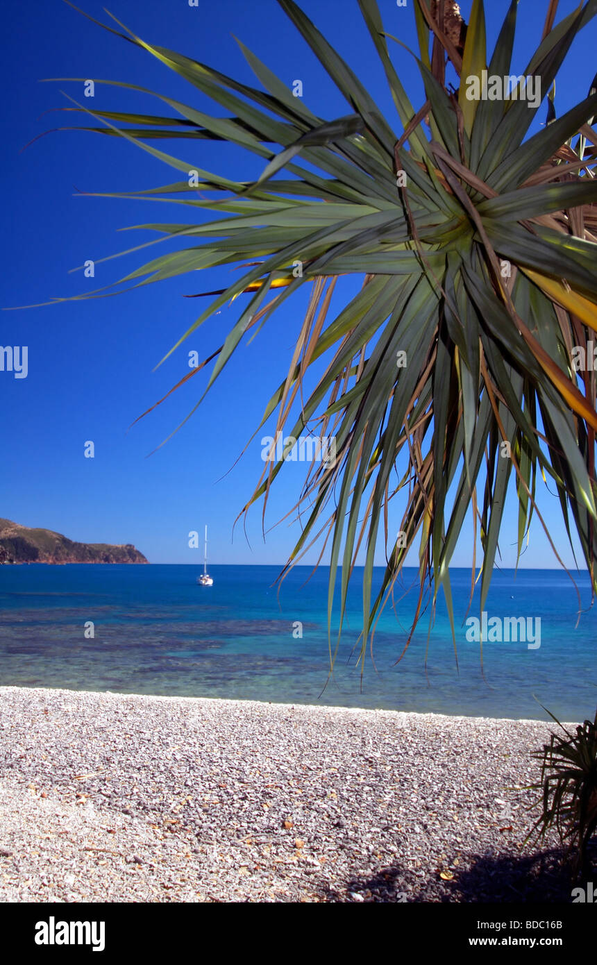 Einsamer Yacht ankern in Maureen es Cove, Hook Island, Whitsunday Islands Nationalpark, Queensland, Australien Stockfoto