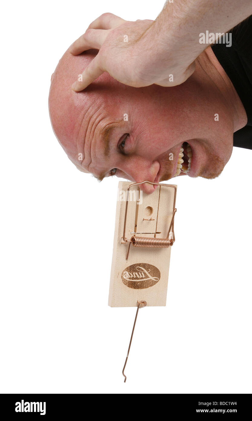 Leitung Glatzkopf mit Nase in der Mausefalle Stockfoto