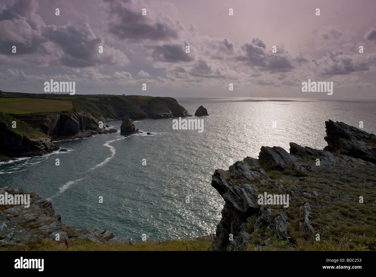 Tintagel und Boscastle Küste, Cornwall, England Stockfoto