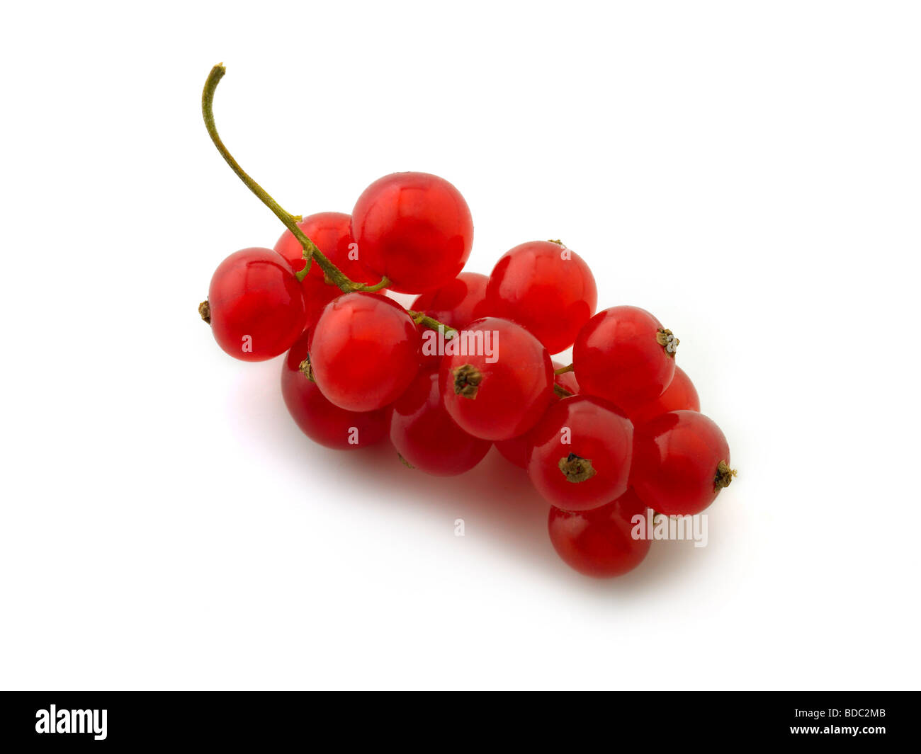 rote Johannisbeeren Stockfoto