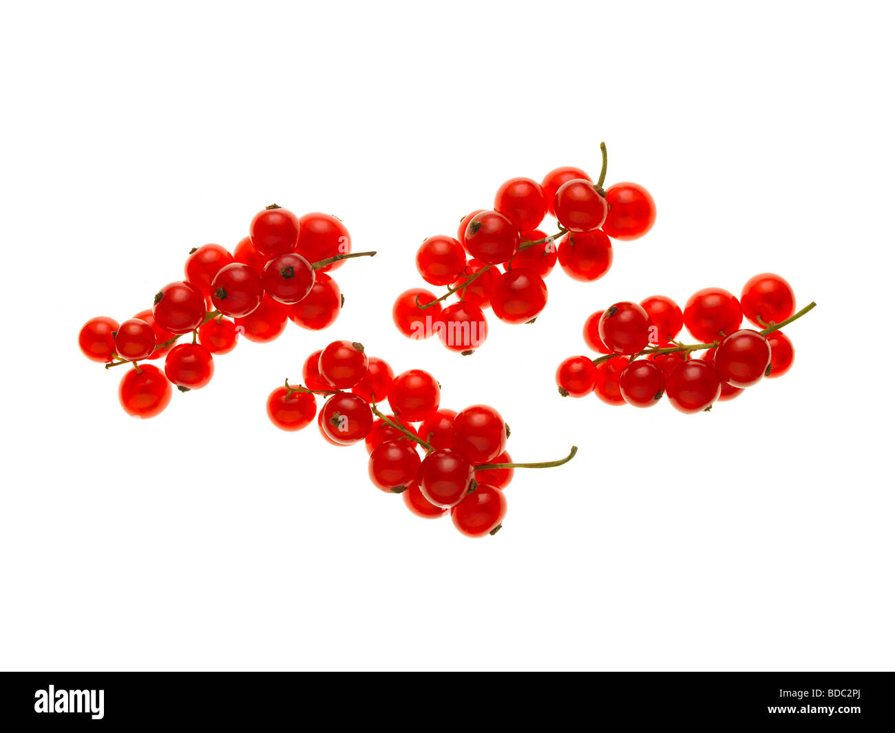 rote Johannisbeeren Stockfoto