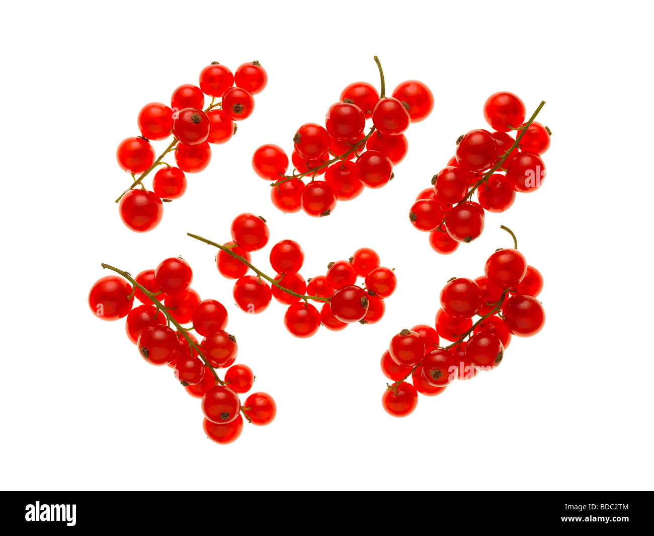 rote Johannisbeeren Stockfoto