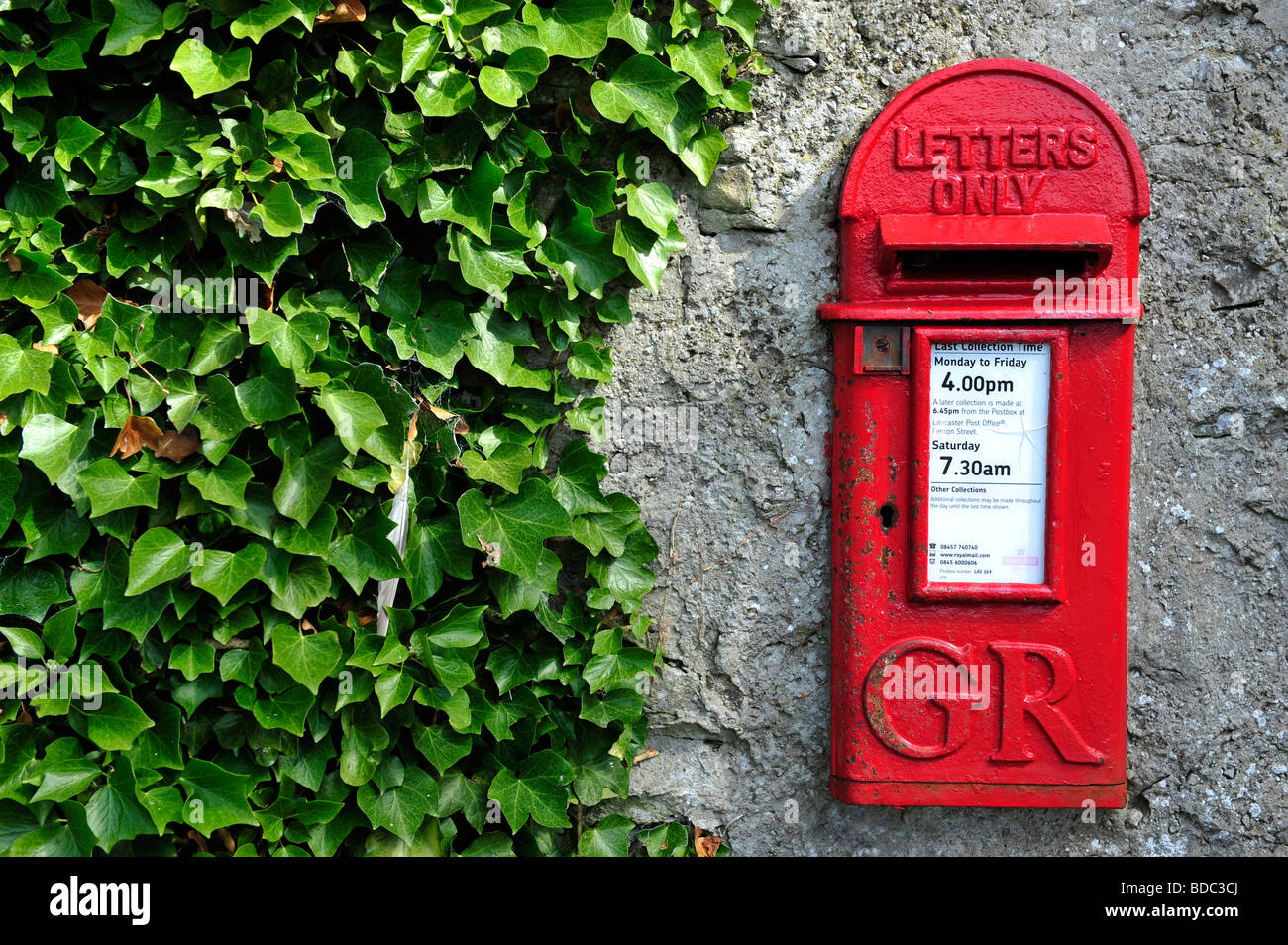 Wand, Royal Mail-Postfach und Efeu Stockfoto