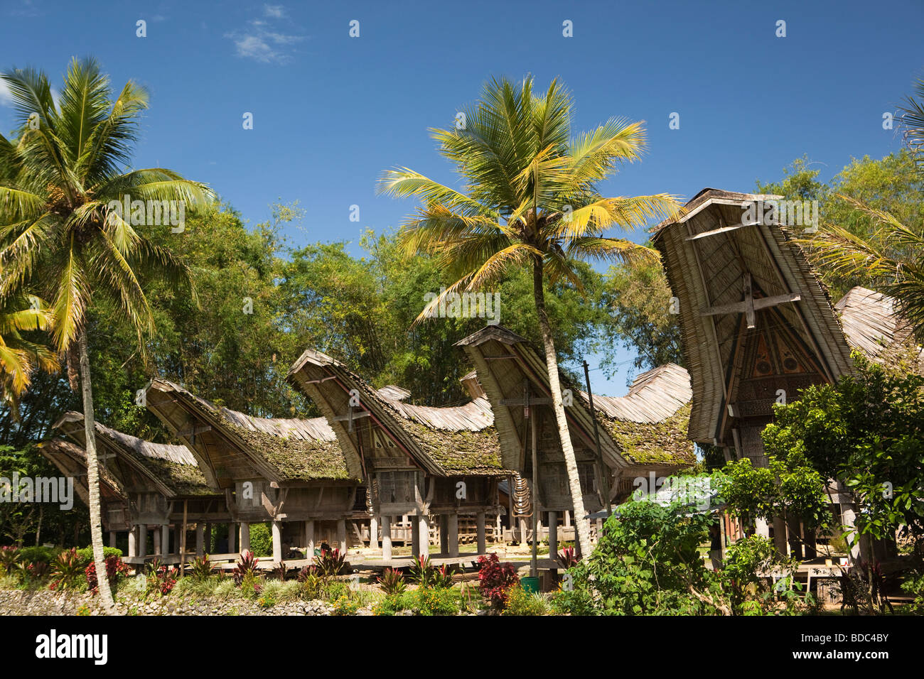 Indonesien Sulawesi Tana Toraja Kete Kesu traditionelle Tongkonan Häuser und Scheunen Reis Stockfoto