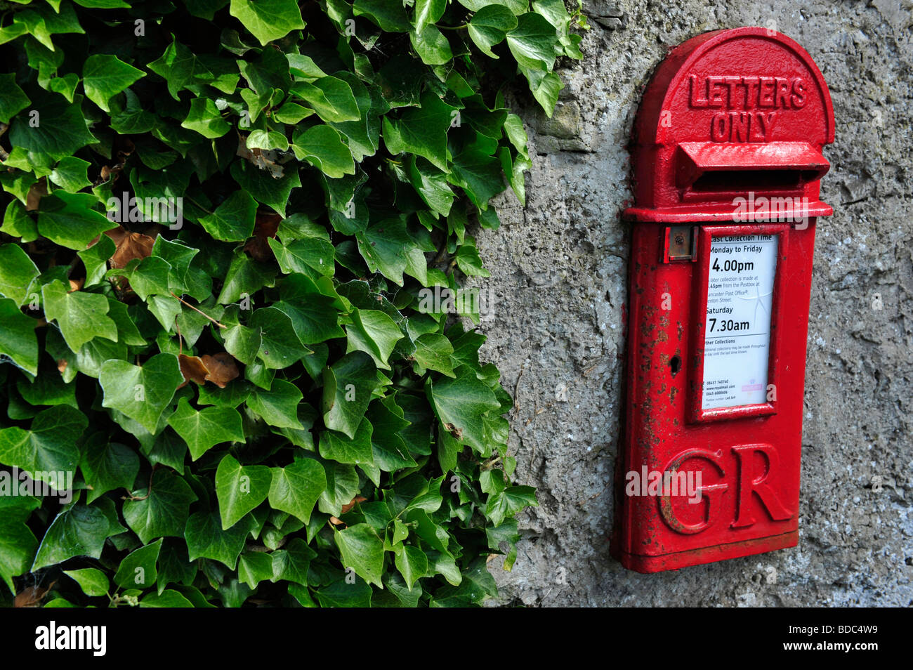 Wand, Royal Mail-Postfach und Efeu Stockfoto