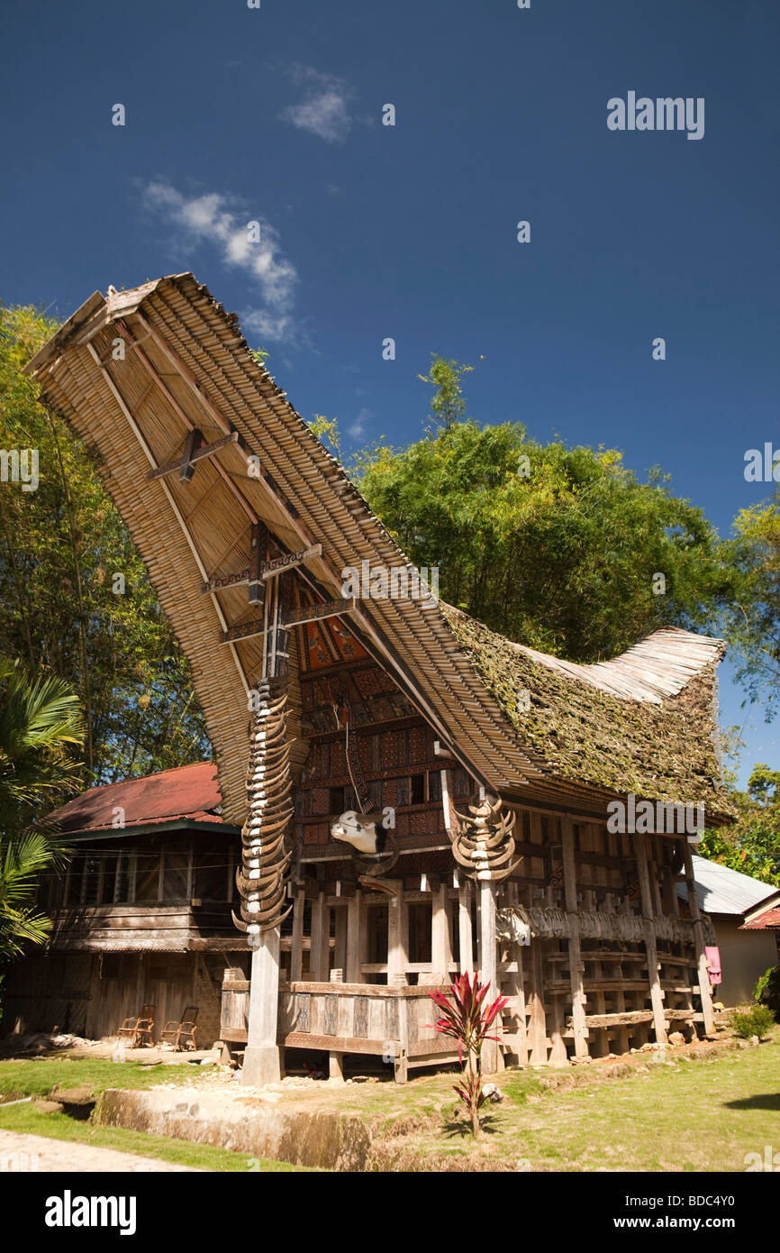 Indonesien Sulawesi Tana Toraja Kete Kesu traditionellen hohen Status Tongkonan Dorfhaus mit vielen Büffelhörnern außerhalb Stockfoto