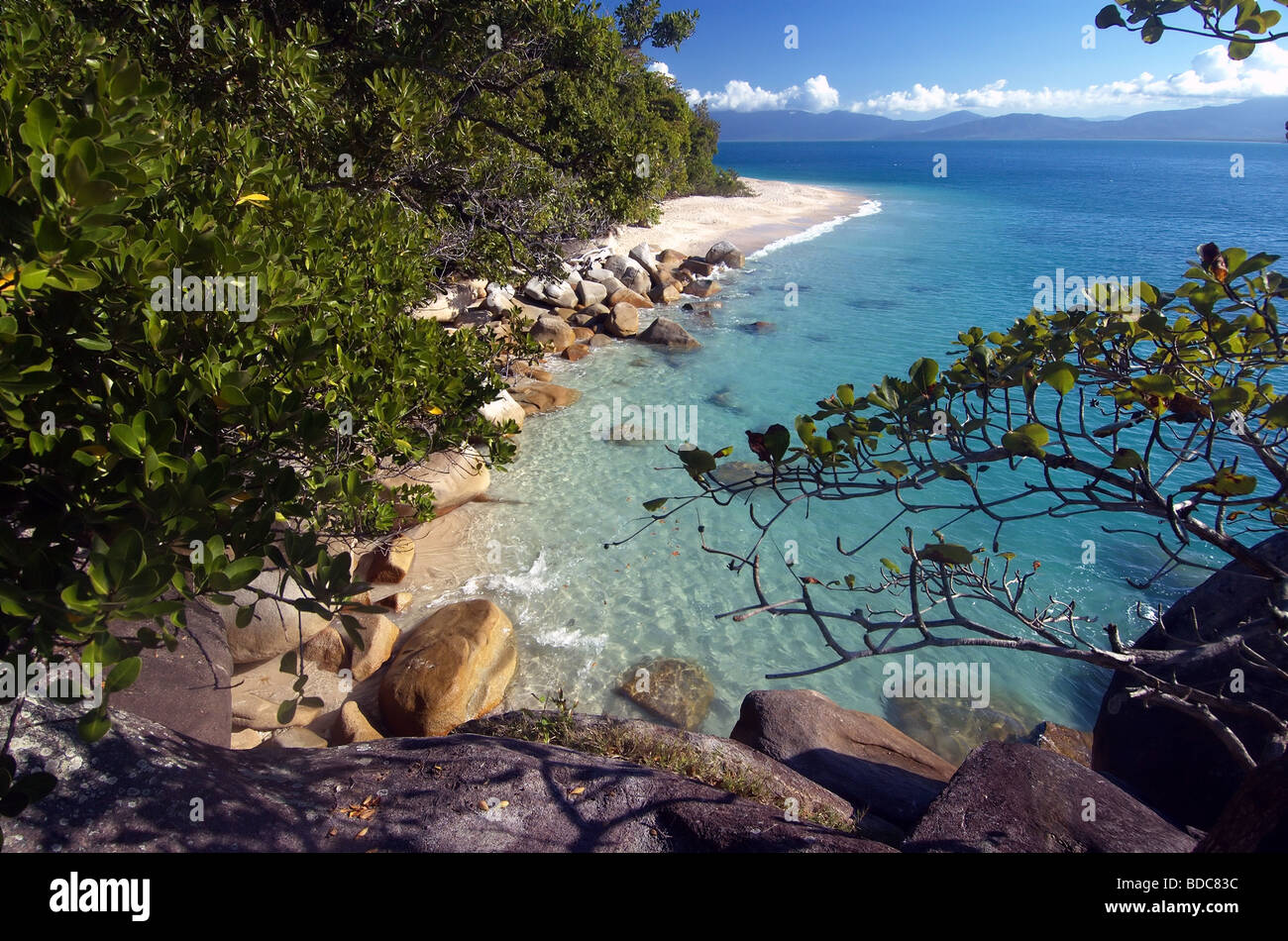 Nudey Beach, Fitzroy Island Nationalpark, Queensland, Australien Stockfoto