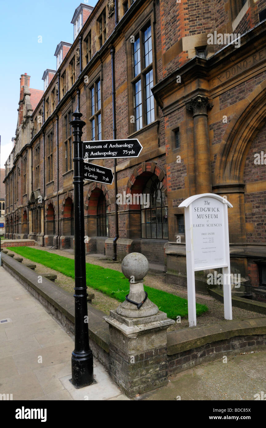 Sedgwick Museum of Earth Sciences in der Downing Street, Cambridge England UK Stockfoto