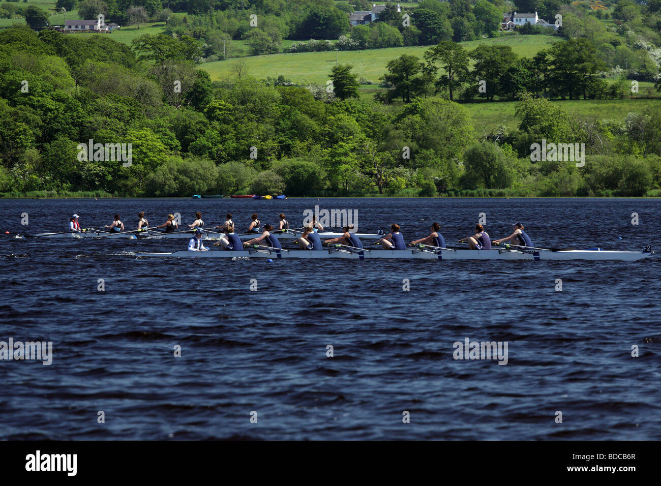 Frauen acht Ruderrennen, Lochwinnoch Rowing Regatta, Castle Semple Loch, Clyde Muirshiel Regional Park, Renfrewshire, Schottland, Großbritannien Stockfoto