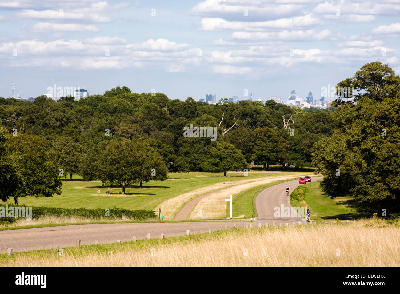 Richmond Park Richmond Upon Thames London England Stockfoto
