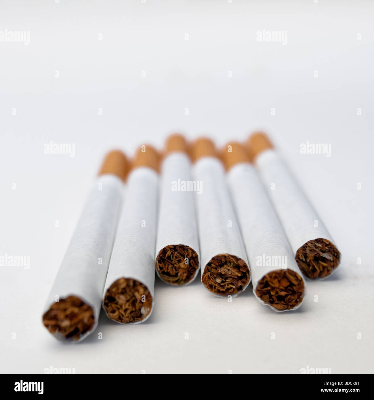 Zigaretten. Stockfoto