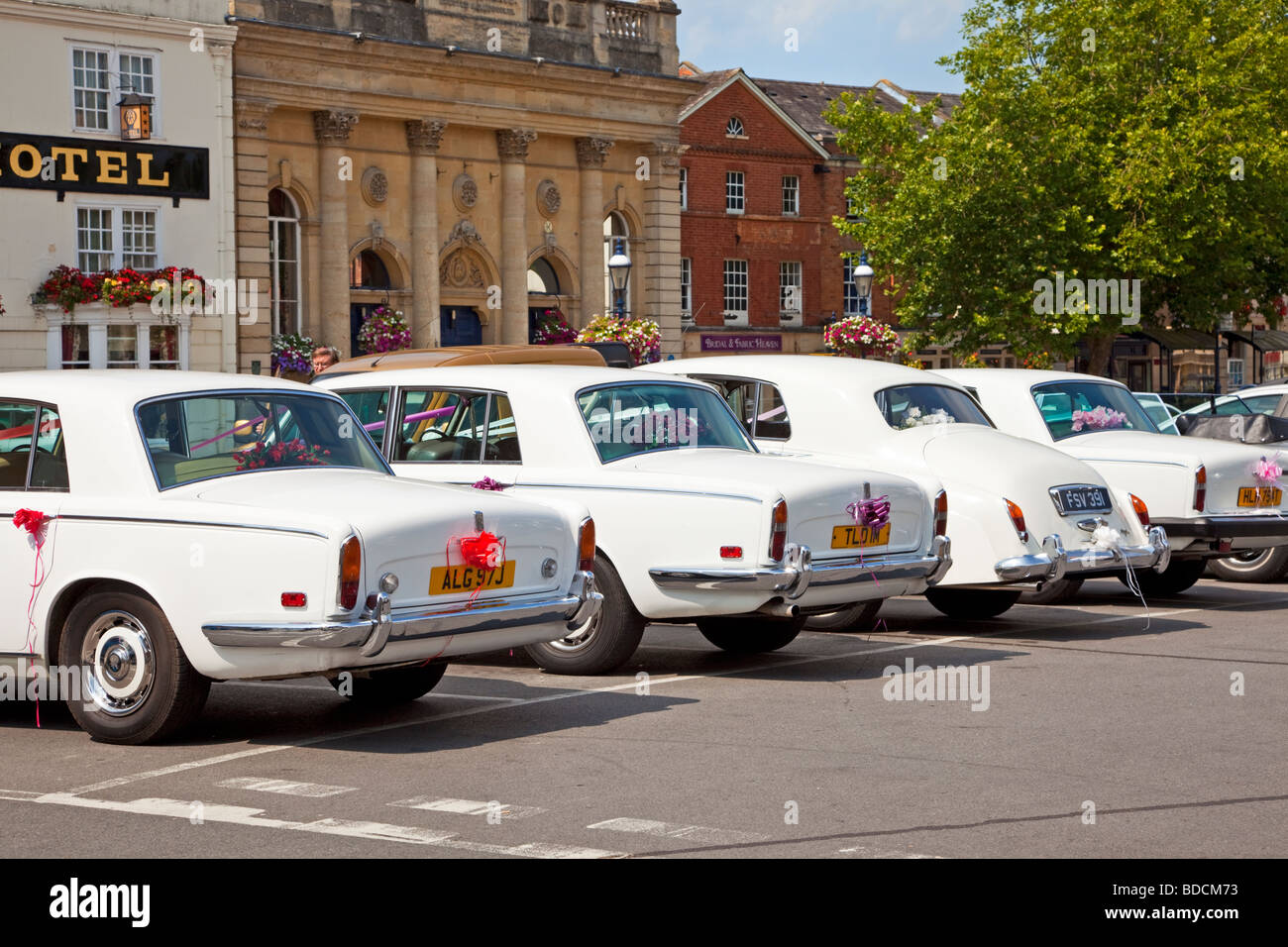 Reihe von weißen Rolls-Royce Hochzeit Autos mit Bändern England UK Europe Stockfoto