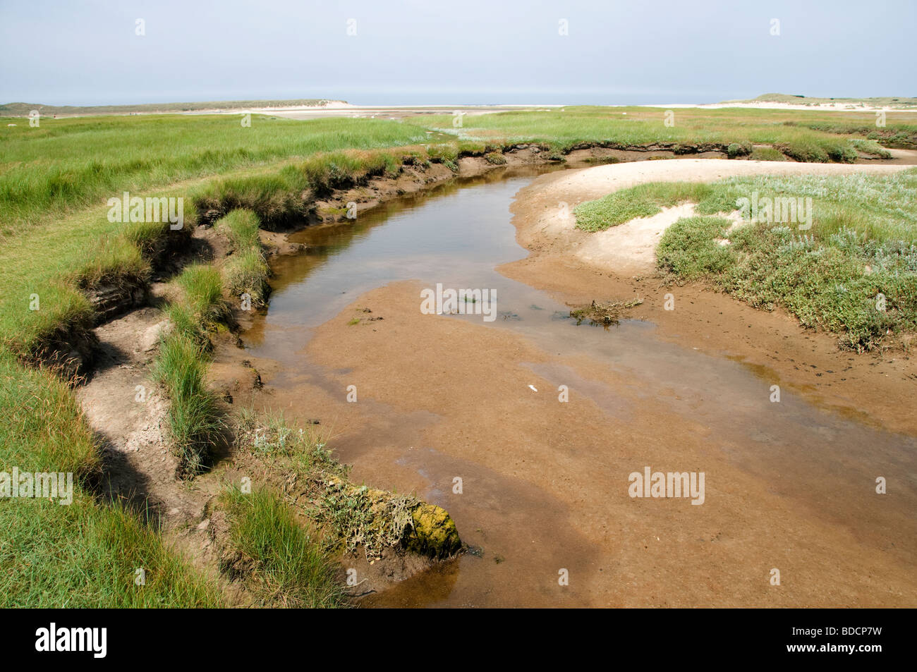 Die Slufter Nationalpark auf Texel Flut Ebbe Flow Niederlande Hollands Meer Wad Wattenmeer Schafe Stockfoto