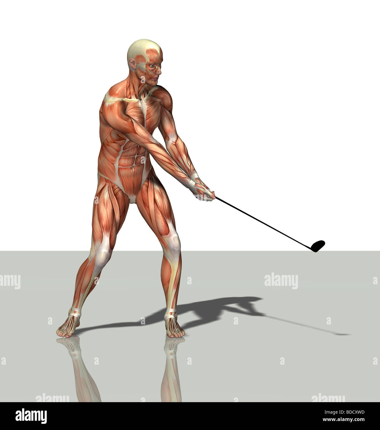 Muskel-Mann als golfer Stockfoto