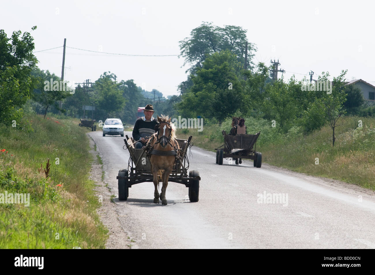 Bauer auf Pferdewagen, Rumänien Stockfoto