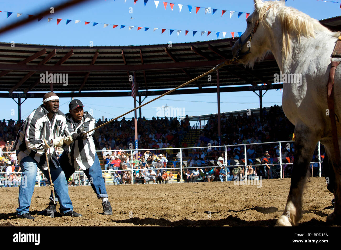 Louisiana State Penitentiary. Angola Prison Rodeo. FOTO: GERRIT DE HEUS Stockfoto