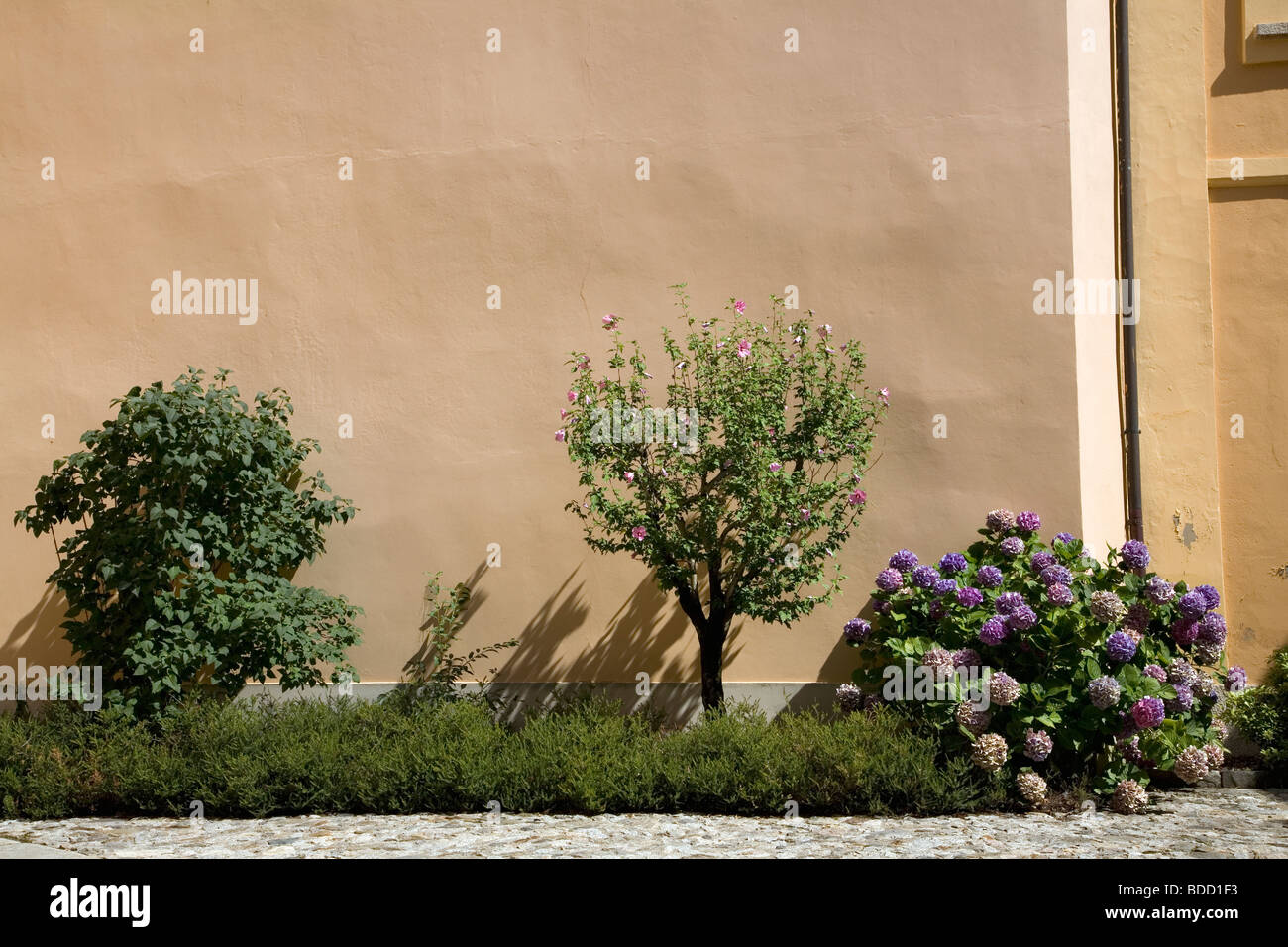 t | er Innenhof Garten des Rathauses in Ameno, VB, die bürgerliche stolz von einem kleinen italienischen Dorf ist sichtbar auf der Parade Stockfoto