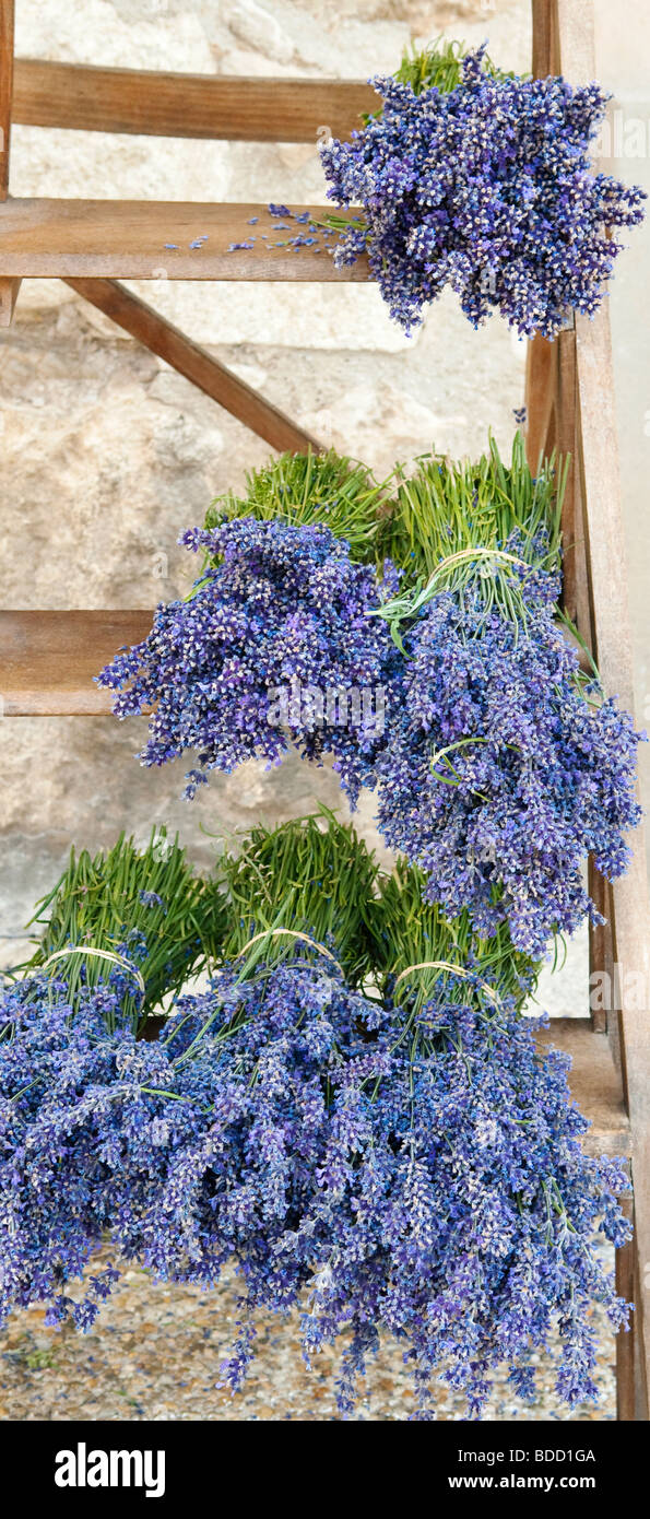 Sault provence Fotos und Bildmaterial in hoher Auflösung Alamy
