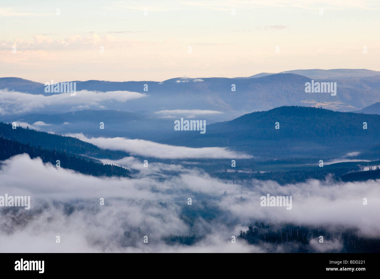 Morgendämmerung auf Waratah Lookout Hartz Mountains Nationalpark Tasmanien Australien Stockfoto