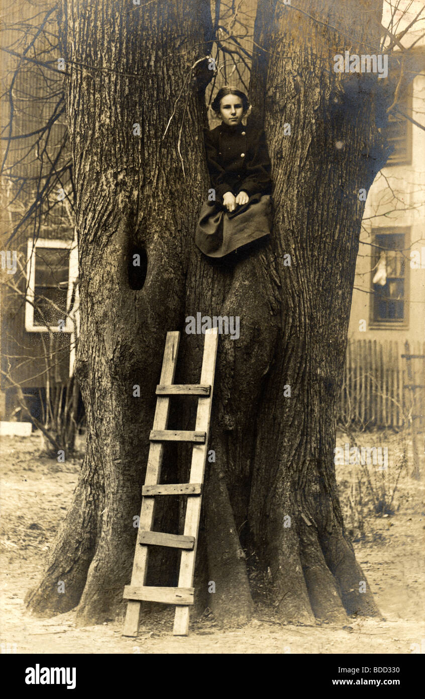 Kleines Mädchen thront in Armbeuge Baum Stockfoto