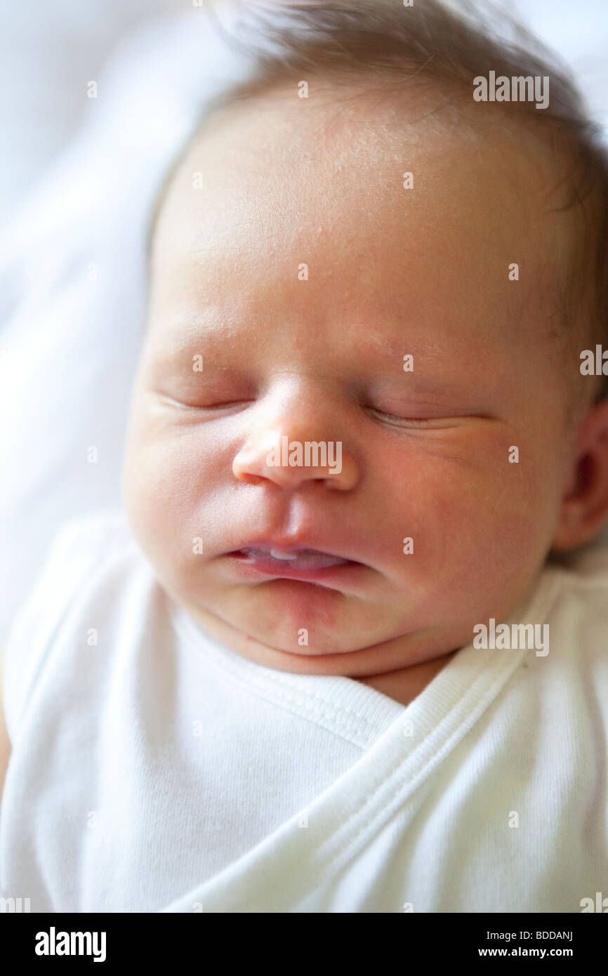 Neugeborene schlafen Stockfoto