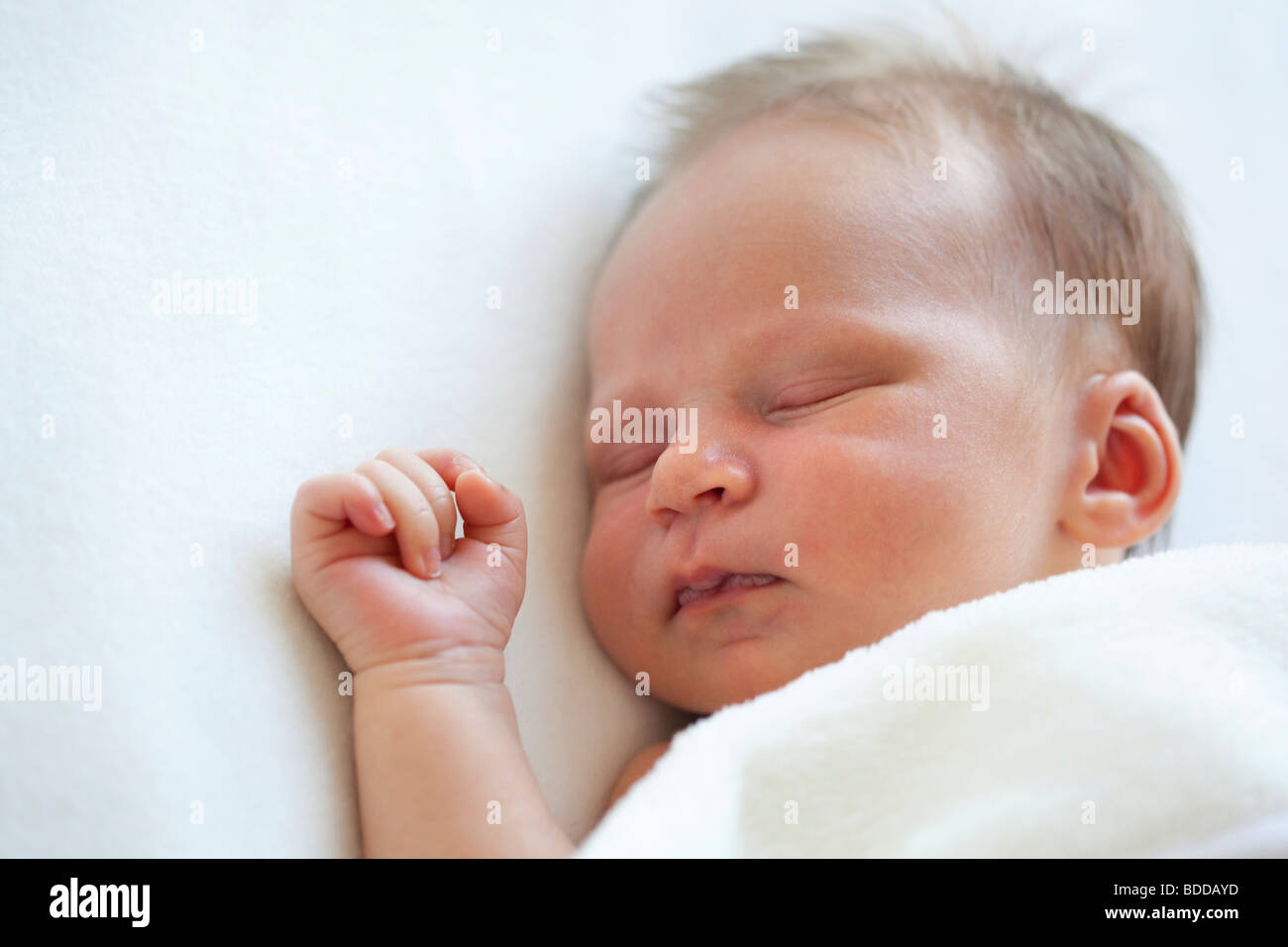 Neugeborene schlafen Stockfoto