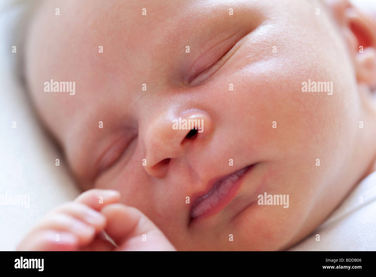 Neugeborene schlafen Stockfoto