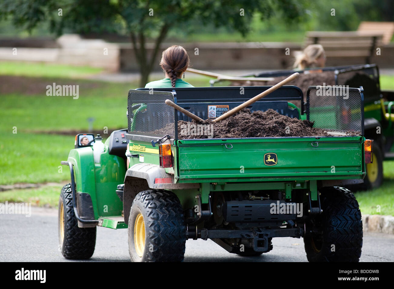Tragen in ein Nutzfahrzeug John Deere Mulch. Ein weibliche Gärtner treibt und es gibt eine Pitchgabel der Mulch. Stockfoto