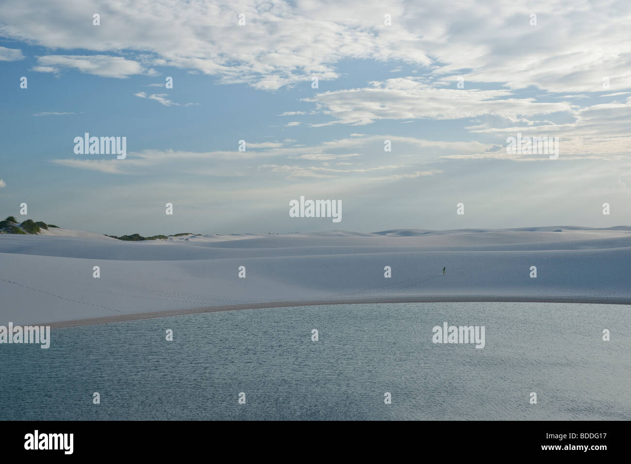 Blick auf die Dünen und Lagunen von Lençois Maranhenses in Brasilien Stockfoto