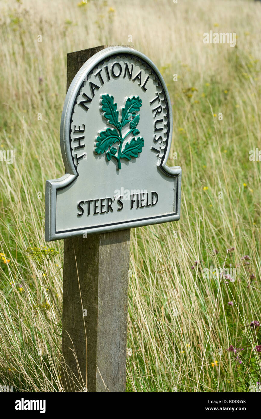National Trust zu signieren, Steer Feld, Ranmore, Dorking, Surrey, UK Stockfoto