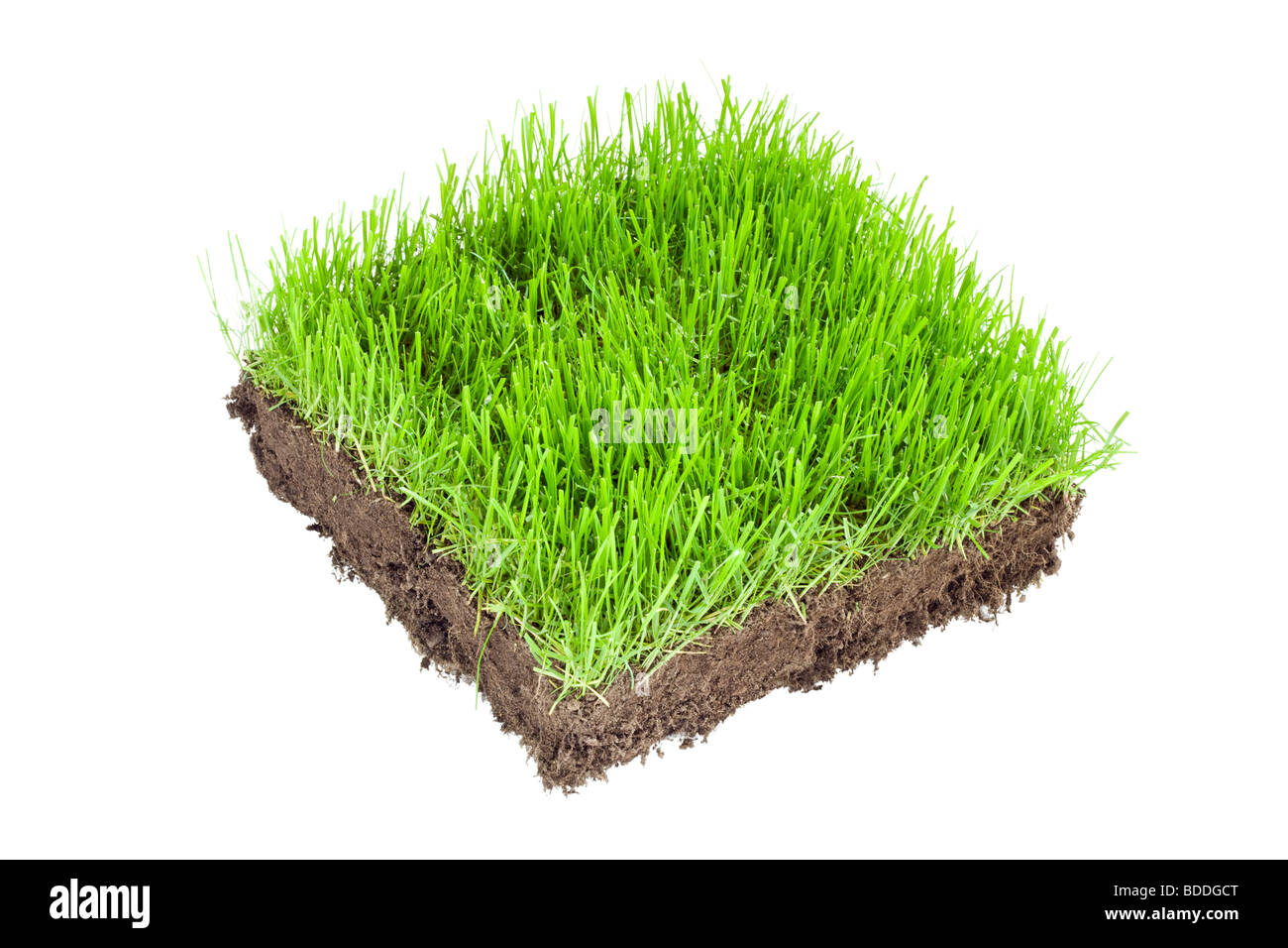 Der neue Rasen Platz Stockfoto