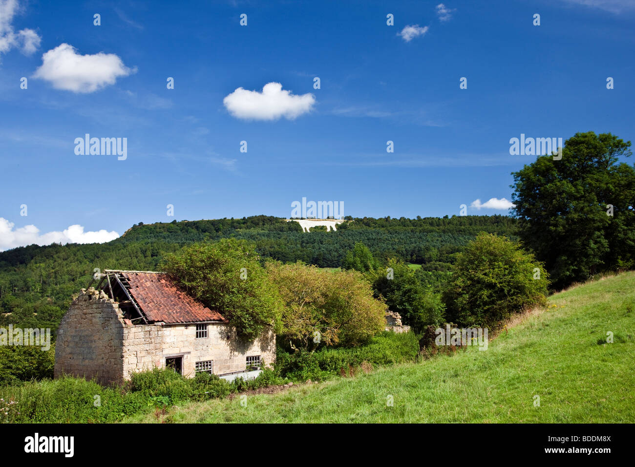 Weißes Pferd und verlassenen Hütte, Kilburn, befindet sich North York Moors National Park auf der südlichen Flanke der Sutton Bank Stockfoto