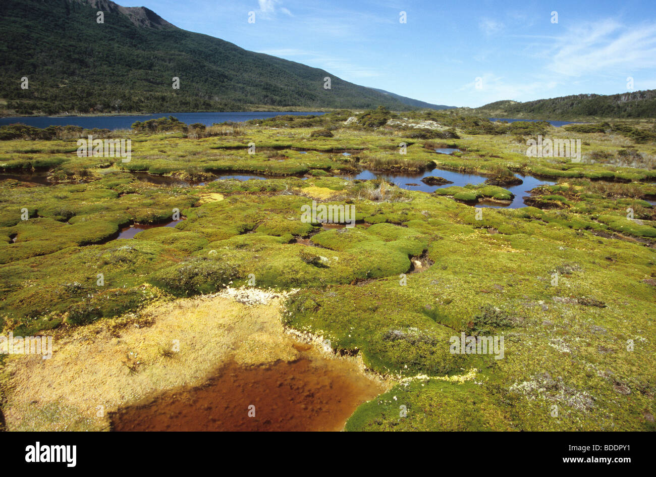 Der remote Zentralregion der Insel Navarino, Südchile. Stockfoto