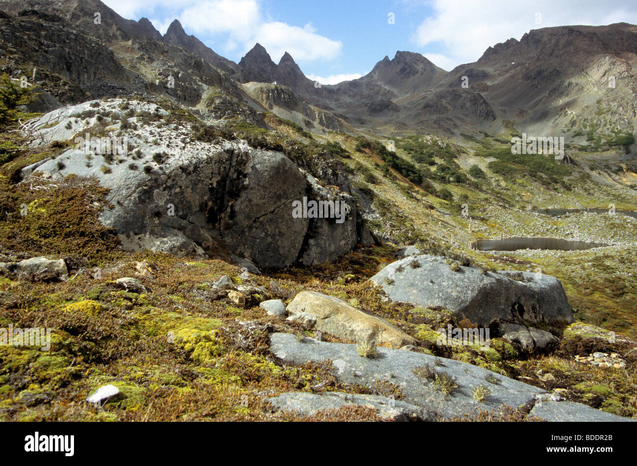 Den westlichen Dientes Bergen auf Insel Navarino im südlichen Chile. Stockfoto